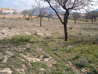 Terreno residenziale in Hondón de los Frailes