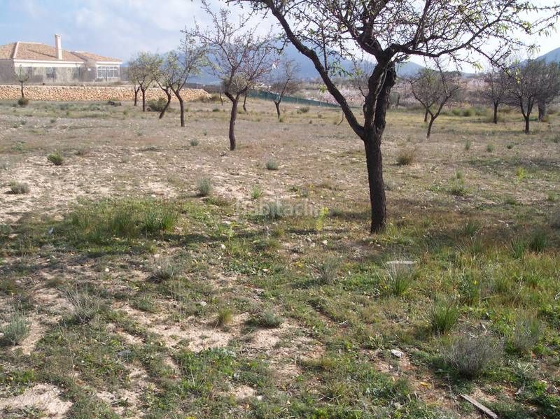Foto 37ba16b9-b2ba-4ce0-8c56-766952a50c99. Finca rústica a Hondón de los Frailes