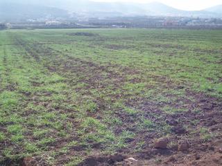 Terreno residenziale in Hondón de los Frailes