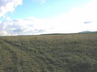 Residential Plot in Yecla