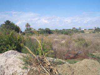 Terreny residencial a Sedella. Parcela en elche