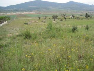 Propriété à Hondón de los Frailes. Se vende parcela en hondon de las nieves