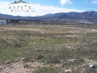 Terreny residencial a Salinas