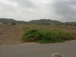 Wohngrundstück in Hondón de los Frailes. Parcela en hondón de los frailes