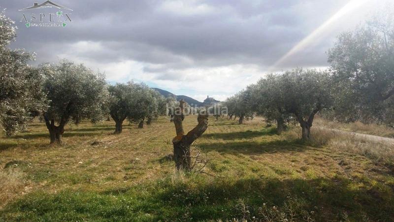 Foto 10c0d587-b701-4102-95c2-8e5cae963275. Fondo rustico in Biar