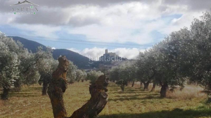 Foto 24bc31c8-fa75-449b-a2d7-ca1be59966ae. Fondo rustico in Biar