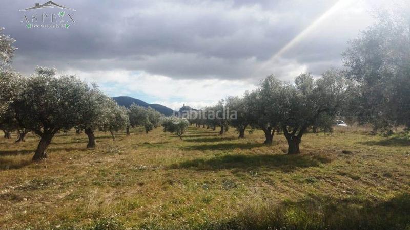 Foto 4f2852ae-cdc7-421e-9977-b760b57c94c5. Fondo rustico in Biar