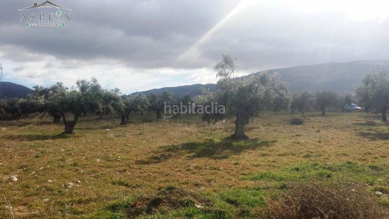 Foto 634be17d-6be9-4350-bf5d-4477181c1692. Fondo rustico in Biar