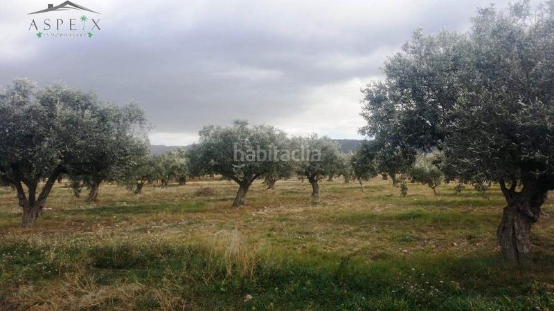 Foto af1ee683-e3f7-4bb8-8554-4b235cbe1d0f. Fondo rustico in Biar