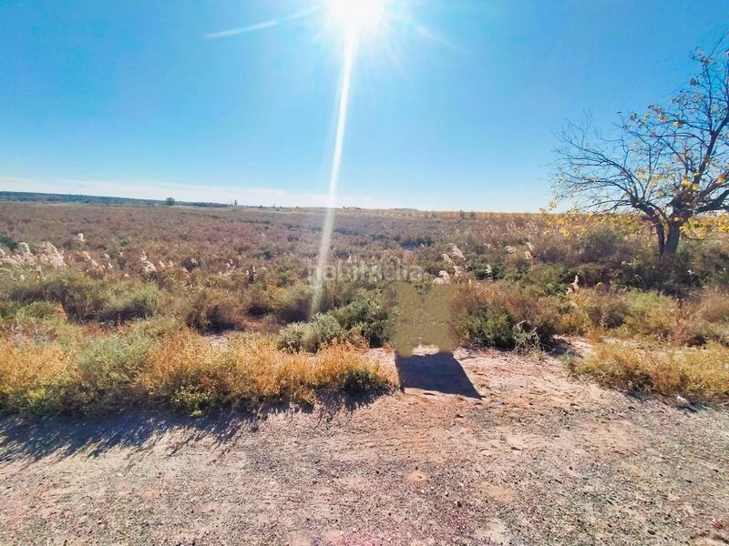 Foto d35793f5-5e34-4861-bd56-ea3a9764a2f0. Fondo rustico in Alzabares Elche / Elx