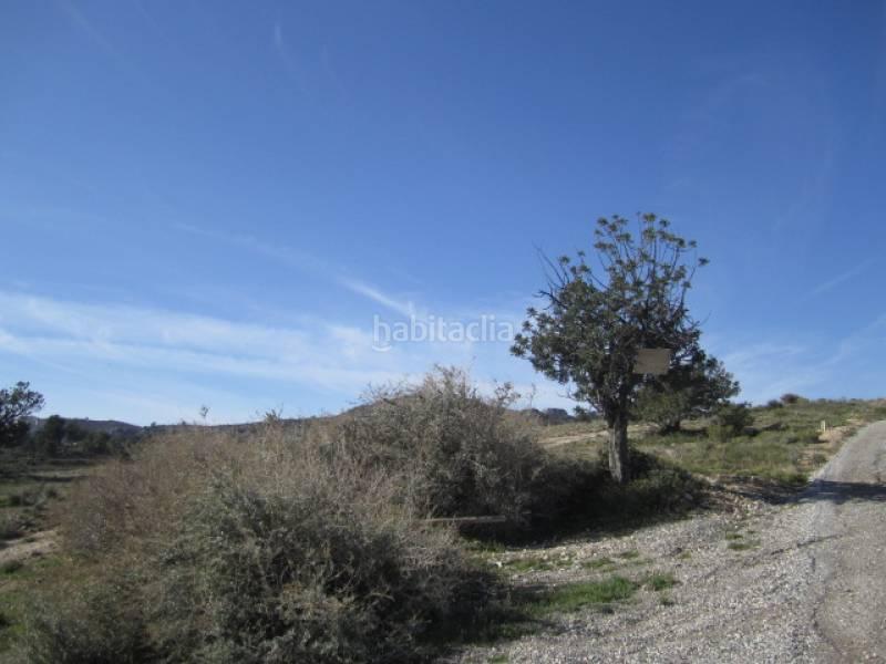 Foto dd13e506-7849-4008-8e8c-71e0e0f26aa4. Finca rústica a Novelda