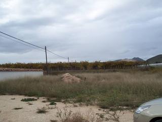 Propriété à Hondón de los Frailes
