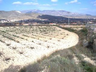 Propriété à Hondón de los Frailes. Terreno en hondon de los frailes