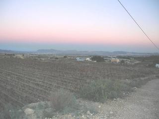 Rural plot in Novelda
