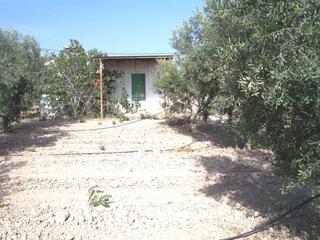 Edifici a Zarza la Mayor. Albergue en aspe