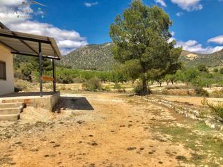 Finca rústica a Monòver. Albergue en monovar