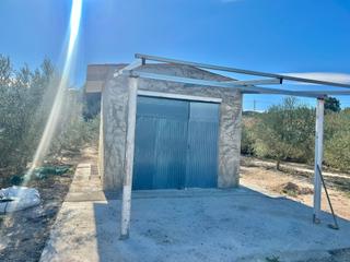 Edifici a Pedanías Oeste. Albergue en aspe