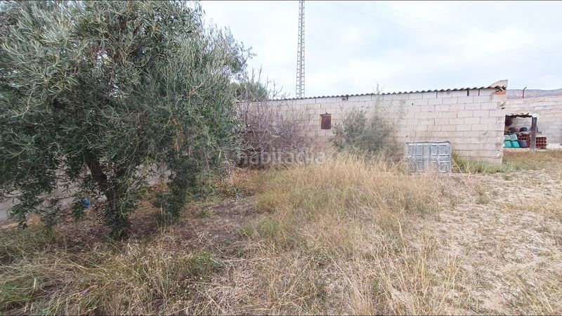 Foto 97df0e25-d71d-4210-93e7-b3960fd5cb09. Edifici a Romana (la)