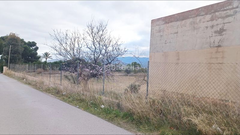 Foto e139fa5f-db8a-4565-8677-df888ade9cc5. Edifici a Romana (la)