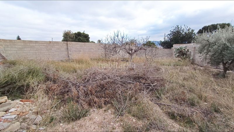 Foto eb845d4e-6bcc-4ccf-8798-b813a57f2f84. Edifici a Romana (la)