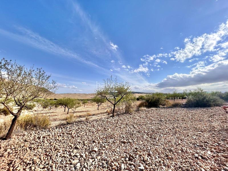 Foto 710233bc-8f8b-4466-985a-0dd72ec663e6. Finca rústica terreno en barbarroja en La Murada - Los Vicentes Orihuela