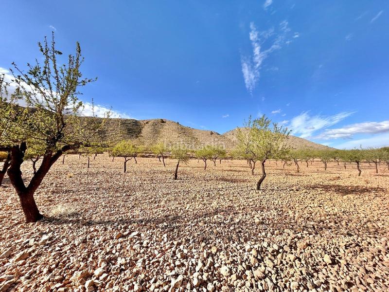 Foto b63f851b-5470-49bc-8cdc-fe51ea46a5e8. Finca rústica terreno en barbarroja en La Murada - Los Vicentes Orihuela