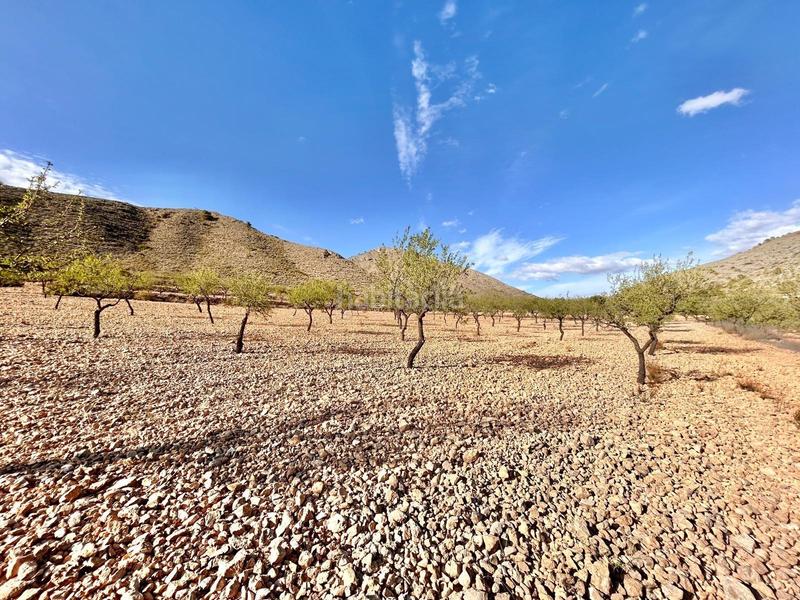 Foto ef71c1c9-ac5d-4289-bd0d-a38da3dd880b. Finca rústica terreno en barbarroja en La Murada - Los Vicentes Orihuela