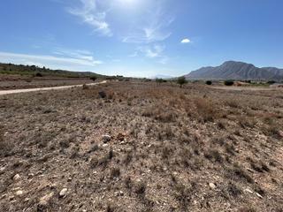 Terreny residencial a La Murada - Los Vicentes. Parcela en barbarroja