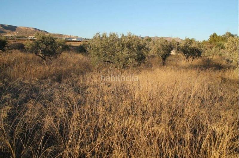 Foto cecdbddf-7e5c-4f3f-bb4d-1cedd0e5e26e. Gebäude in Romana (la)