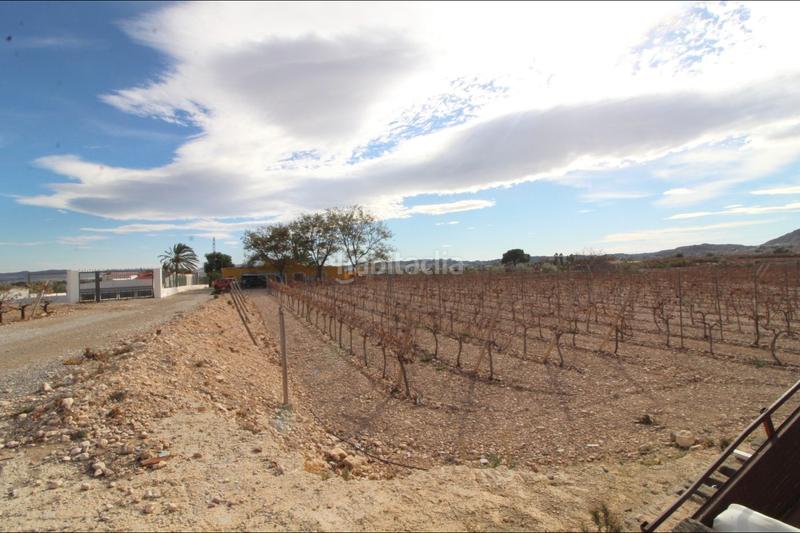 Foto ab38f476-2978-477e-81bc-a04572464a12. Edifici a Novelda