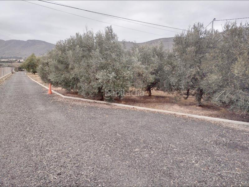 Foto 88ac1026-53fb-43ff-be7b-56ae9e50d628. Edifici a Hondón de las Nieves