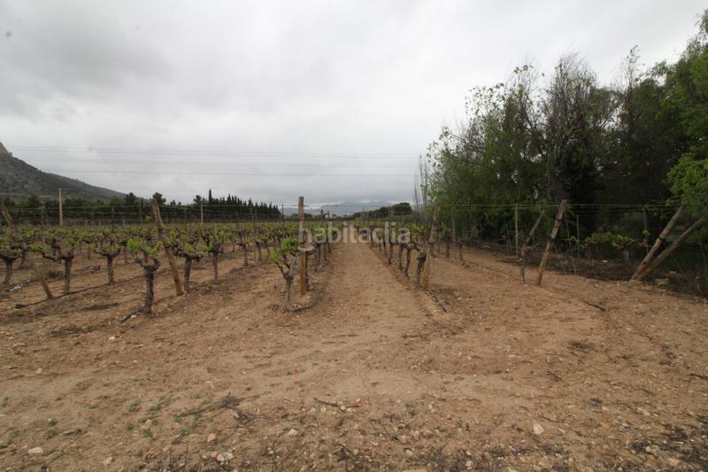 Foto a68dd413-4513-4b99-ae4d-223403538611. Edificio terreno con albergue en Pedanías Oeste Aspe