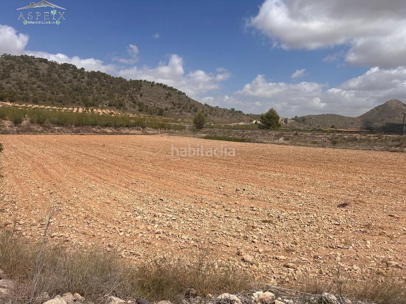 Foto 11f4afc0-e4c6-4d78-bdaa-06940e7dea9d. Residential plot in Jumilla