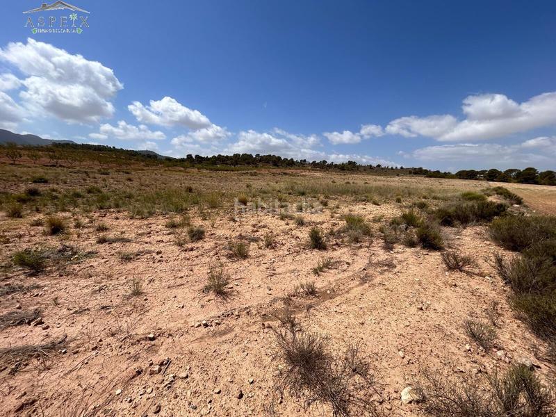 Foto 4e4cd745-db4d-47e3-8874-ab65305b1636. Residential plot in Jumilla