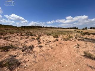 Residential Plot in Jumilla. Terreno jumilla zona paraje chamaleta