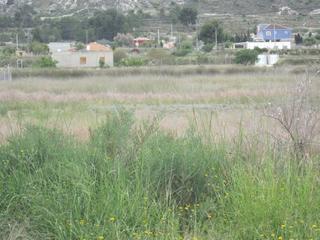 Terreny residencial a Pedanías Este. Parcela en aspe