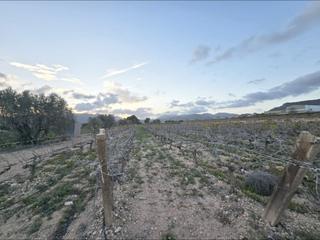 Propriété à Romana (la). Parcela en la romana