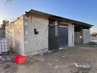 Edifici a Novelda. Albergue en novelda zona el campet