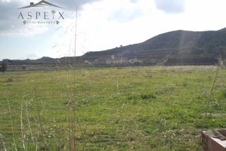 Finca rústica a El Castillo. Se vende fantástico terreno en aspe