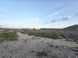 Finca rústica a Tomelloso. Parcela en la romana