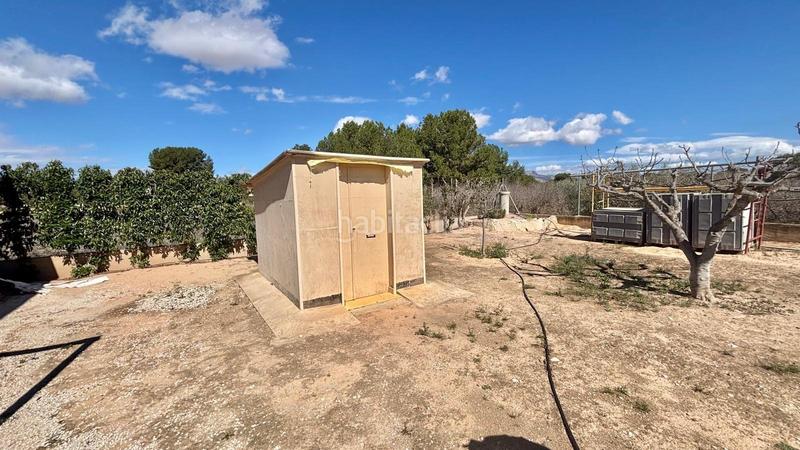 Foto 2e96537a-d08b-4eed-b6c9-9e18f5943978. Edifici a Pedanías Oeste Aspe