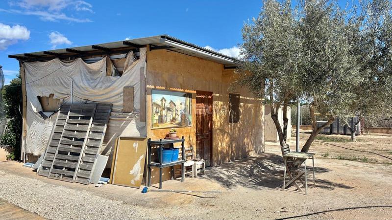 Foto 38ea75d2-acd2-4e21-9a0e-678a69cc638f. Edifici a Pedanías Oeste Aspe