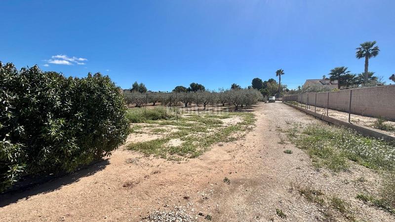 Foto 553f0e83-4d76-497a-b63d-bcfdfbcda2dc. Edifici a Pedanías Oeste Aspe