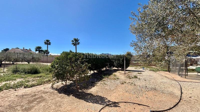 Foto 85215dbb-2503-456b-bcf6-c43c22962cce. Edifici a Pedanías Oeste Aspe