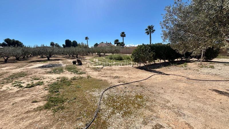 Foto e73a6b7c-fe59-4832-80ce-451aa3b4cf78. Edifici a Pedanías Oeste Aspe