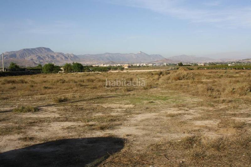 Foto a5eb4b87-0941-476f-832a-0e3ed91de0ea. Propriété dans Las Fuentes-Los Cipreses Aspe