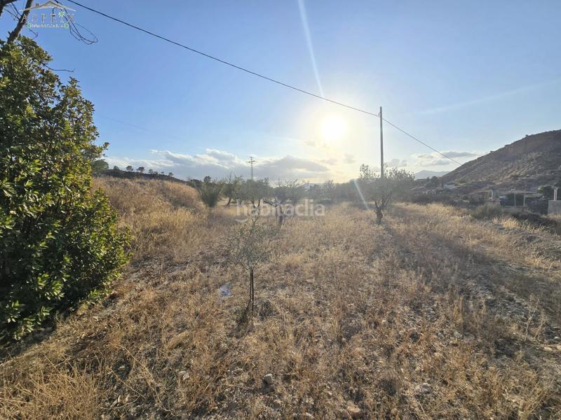 Foto 33d2606a-091a-413f-a4a1-8cd21c13e739. Casale in Abanilla