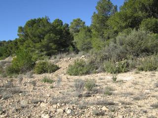 Residential Plot in Monòver. Se vende terreno en monovar