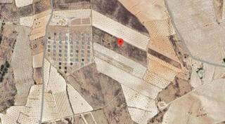 Rural plot in Pinoso. Terreno en la cañada del trigo