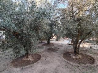 Masia a Pinoso. Magnífica casa con infinitas posibilidades en una pedanía de pin